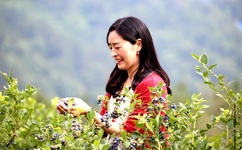 99re久久精品在线播放